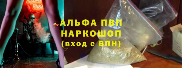 ПСИЛОЦИБИНОВЫЕ ГРИБЫ Няндома