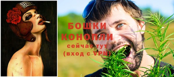 ПСИЛОЦИБИНОВЫЕ ГРИБЫ Няндома