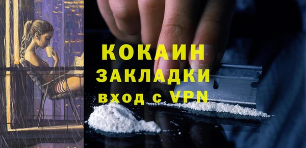 spice Новодвинск