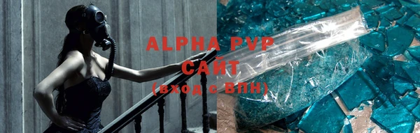 ПСИЛОЦИБИНОВЫЕ ГРИБЫ Няндома