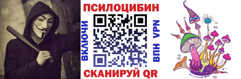 Купить  Афипский  Галлюциногенные грибы Psilocybe 